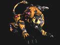 Transmetal 2 Cheetor