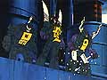 The Insecticons